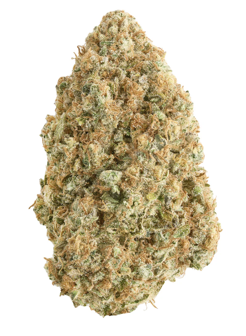 BROKEN COAST - BLUE DREAM