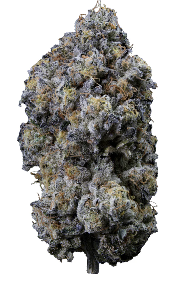 SWEETGRASS ORGANIC CANNABIS - PINE MENTZ PETITES FLOWER LTO