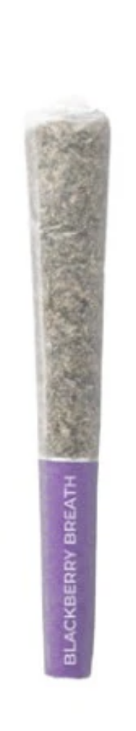 Product image PISTOL AND PARIS - BLACKBERRY BREATH PRE-ROLLS 1