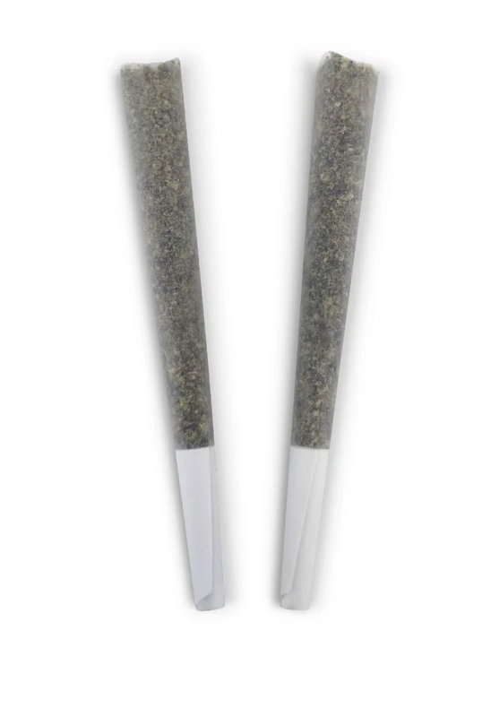BC DOOBIES - HONEY BEAR PRE-ROLLS