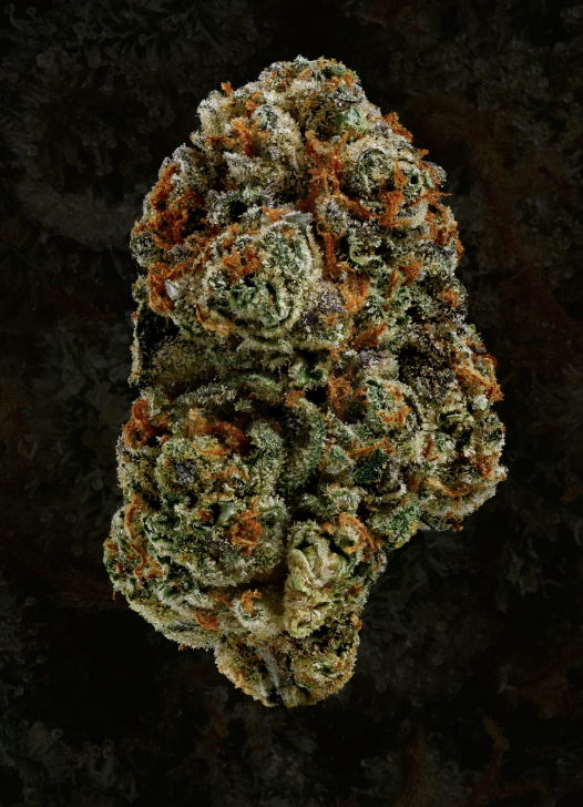 ISLAND GENETICS - AK PIE SMALLS