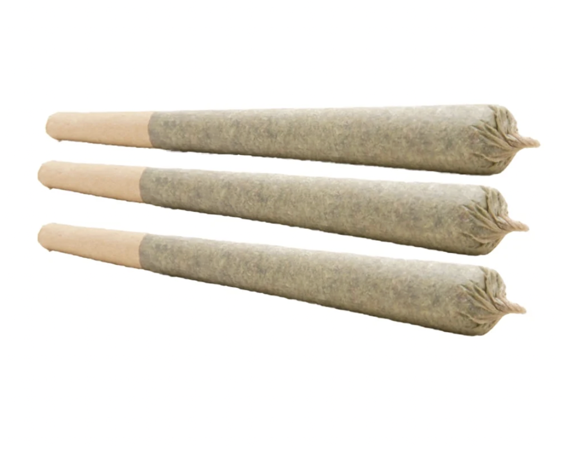 BLUE IGUANA PREROLL  3 X