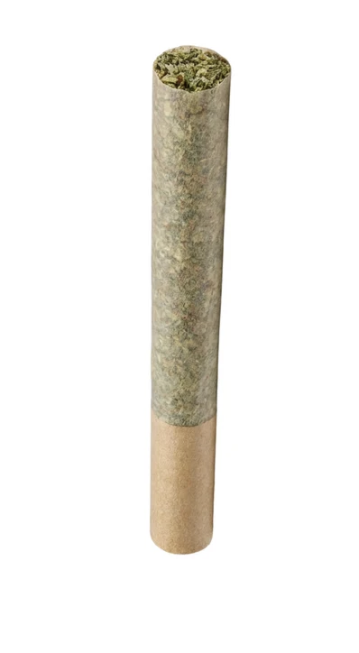 CAPPELLANO CANNABIS CO. - ORGANIC CHERRY FRITTER PRE-ROLLS LTO