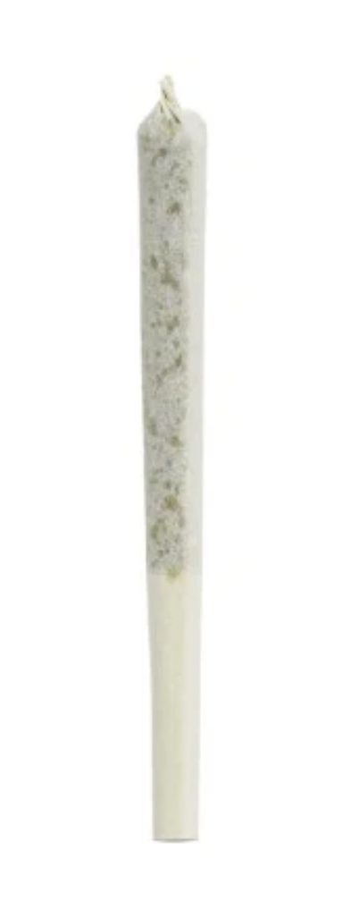 COMATOSE PREROLL