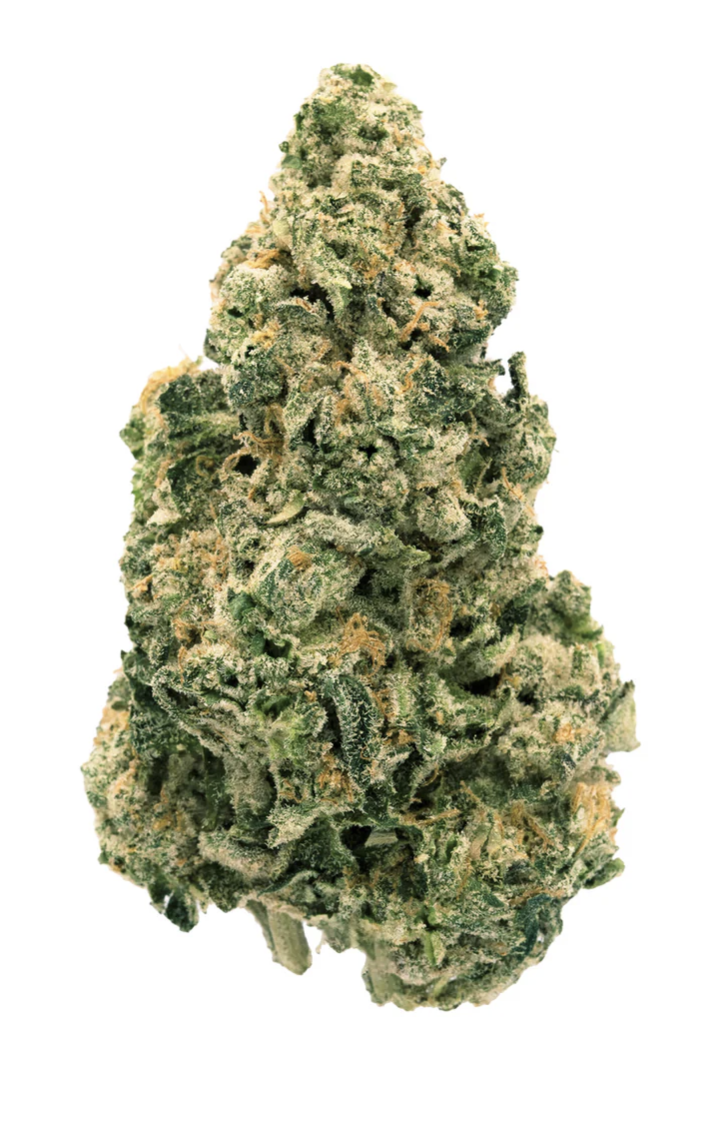 BACK FORTY - GALACTIC JACK